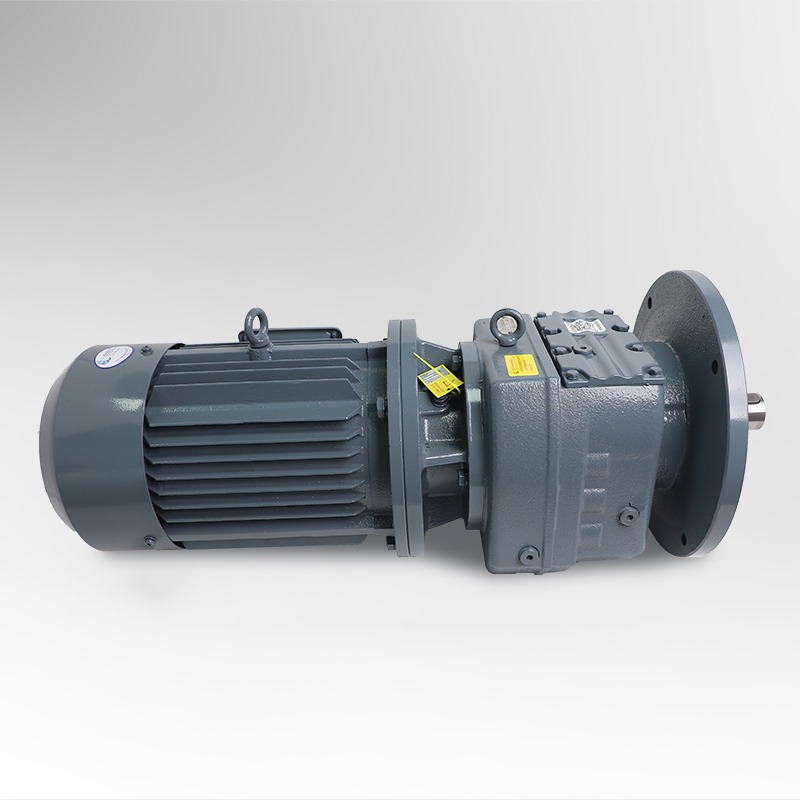 JRF Series Helical Gear Reducer Motor for Flocculation Mixer